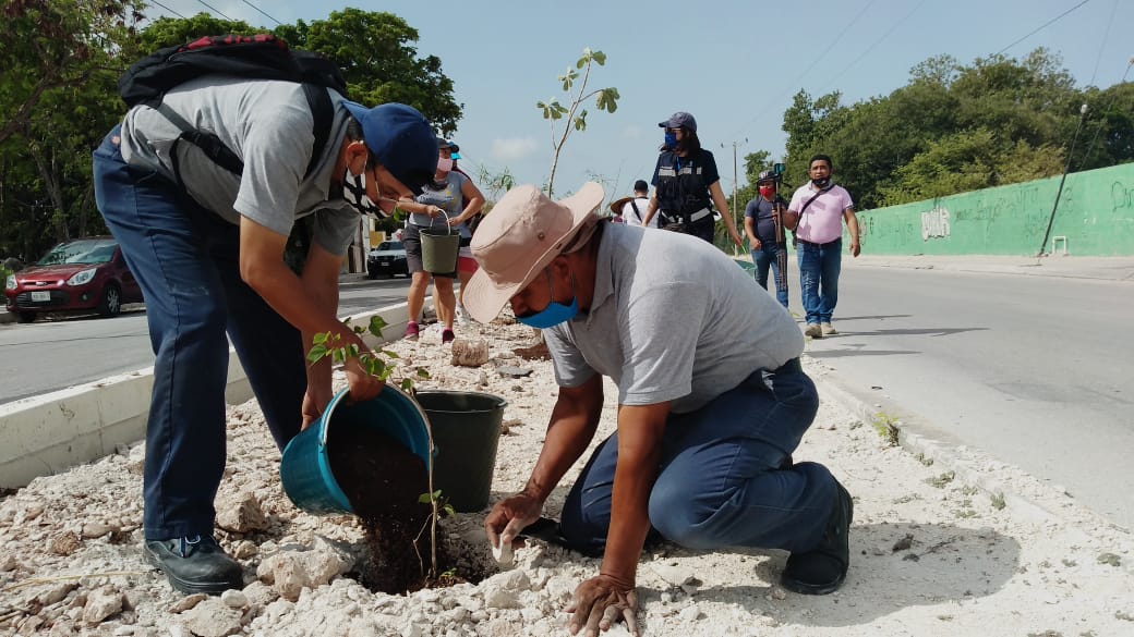 AGUAKAN REALIZA JORNADA DE REFORESTACIÓN EN AVE. PROLONGACION TULUM Y REAFIRMA SU COMPROMISO CON EL MEDIO AMBIENTE