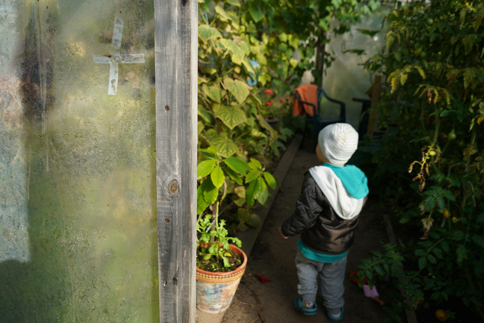 Actividades sencillas para enseñar a los niños y niñas a cuidar del medio ambiente