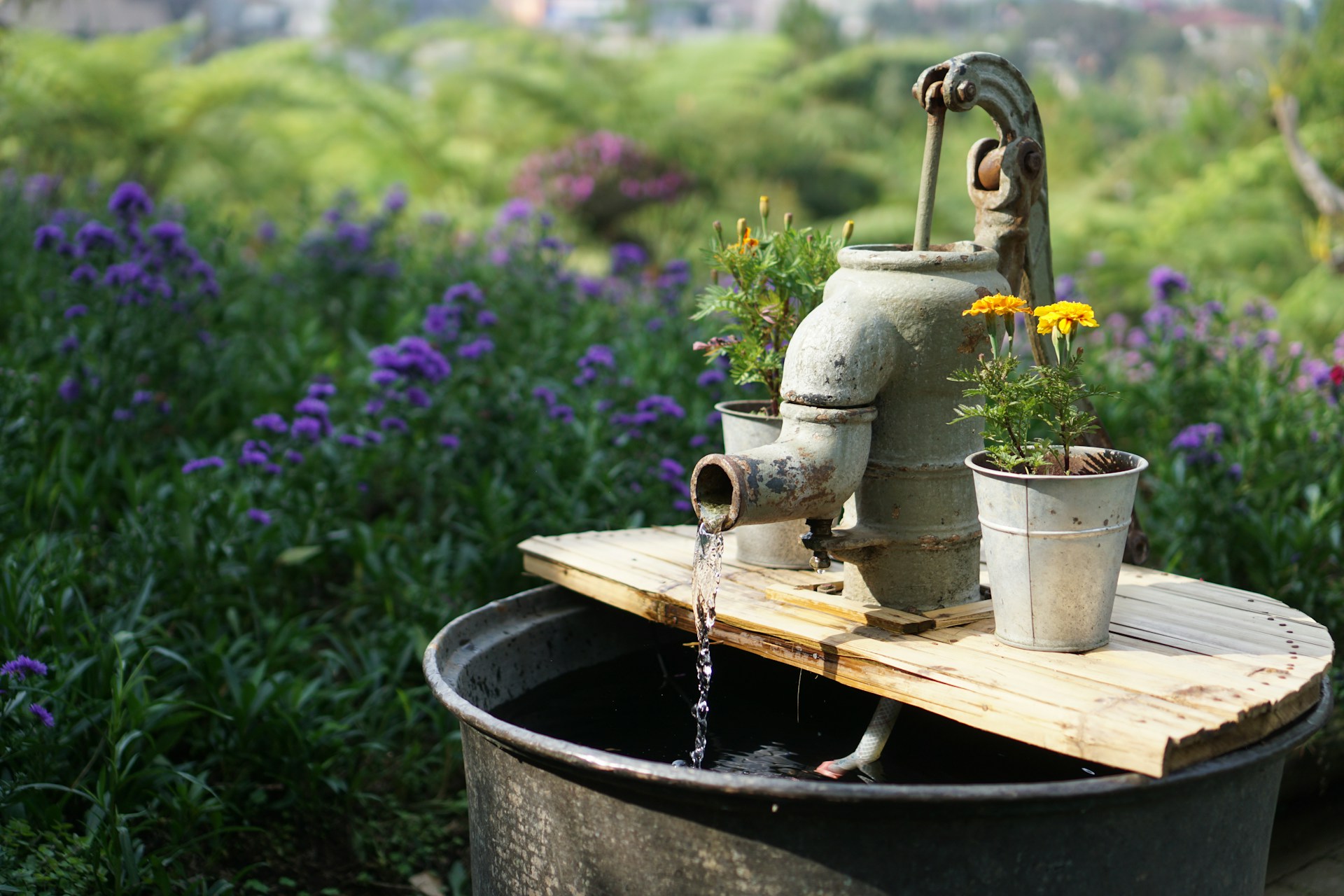 Primavera – Verano: Recomendaciones para cuidar el agua ante las altas temperaturas en el país