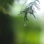 Escasez de agua