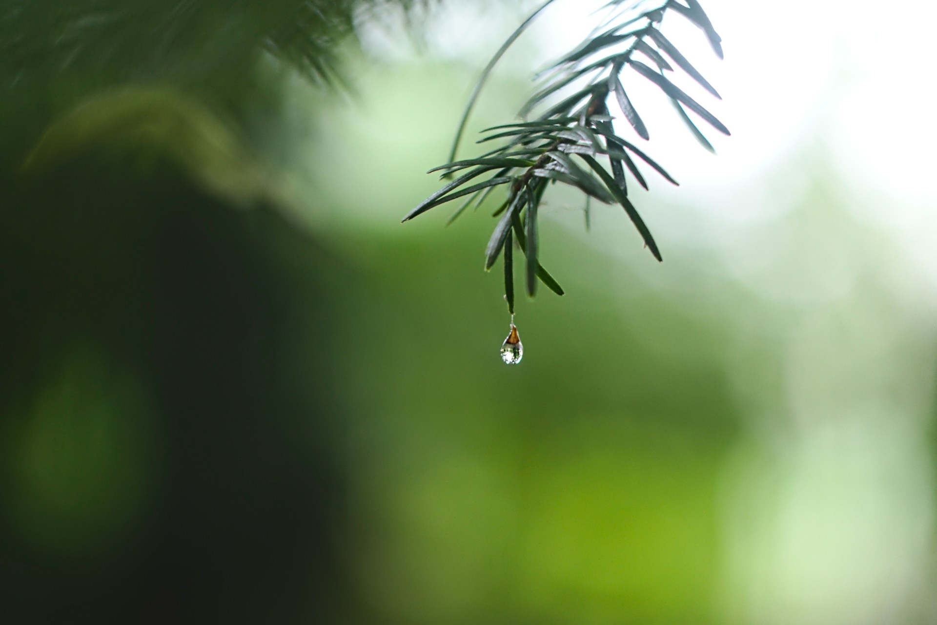 Cómo obtener un respaldo de agua ante los problemas de escasez en el mundo