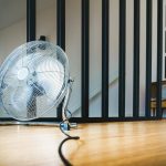 Ola de calor