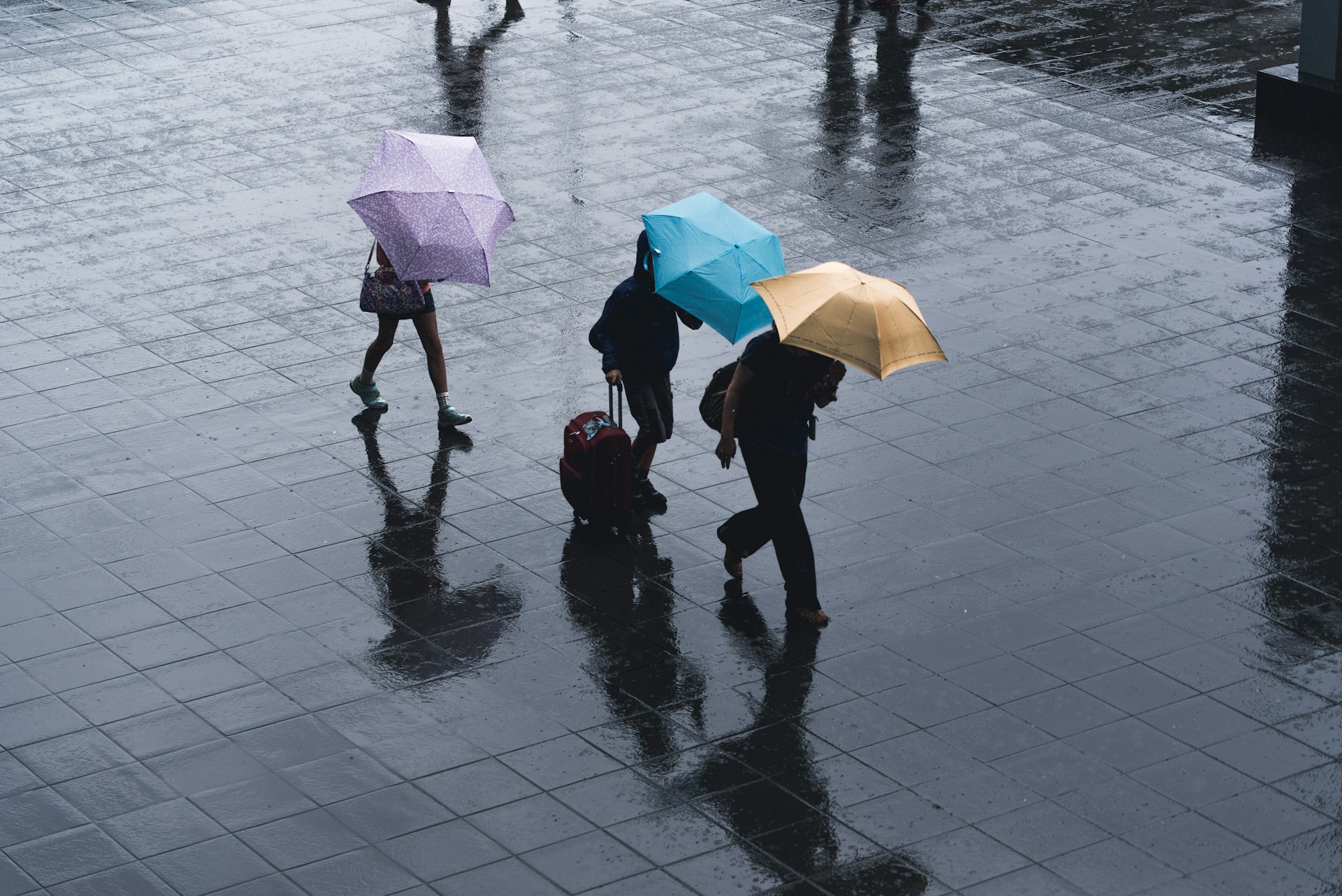 Temporada de lluvias: Consejos para recolectar y almacenar agua de forma adecuada