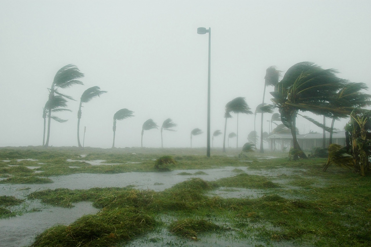 Cómo preparar tu hogar para la temporada de huracanes en la Riviera Maya: Medidas preventivas para proteger el suministro de agua