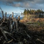 Cambio climático