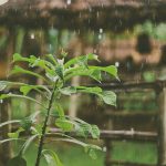 Lluvia