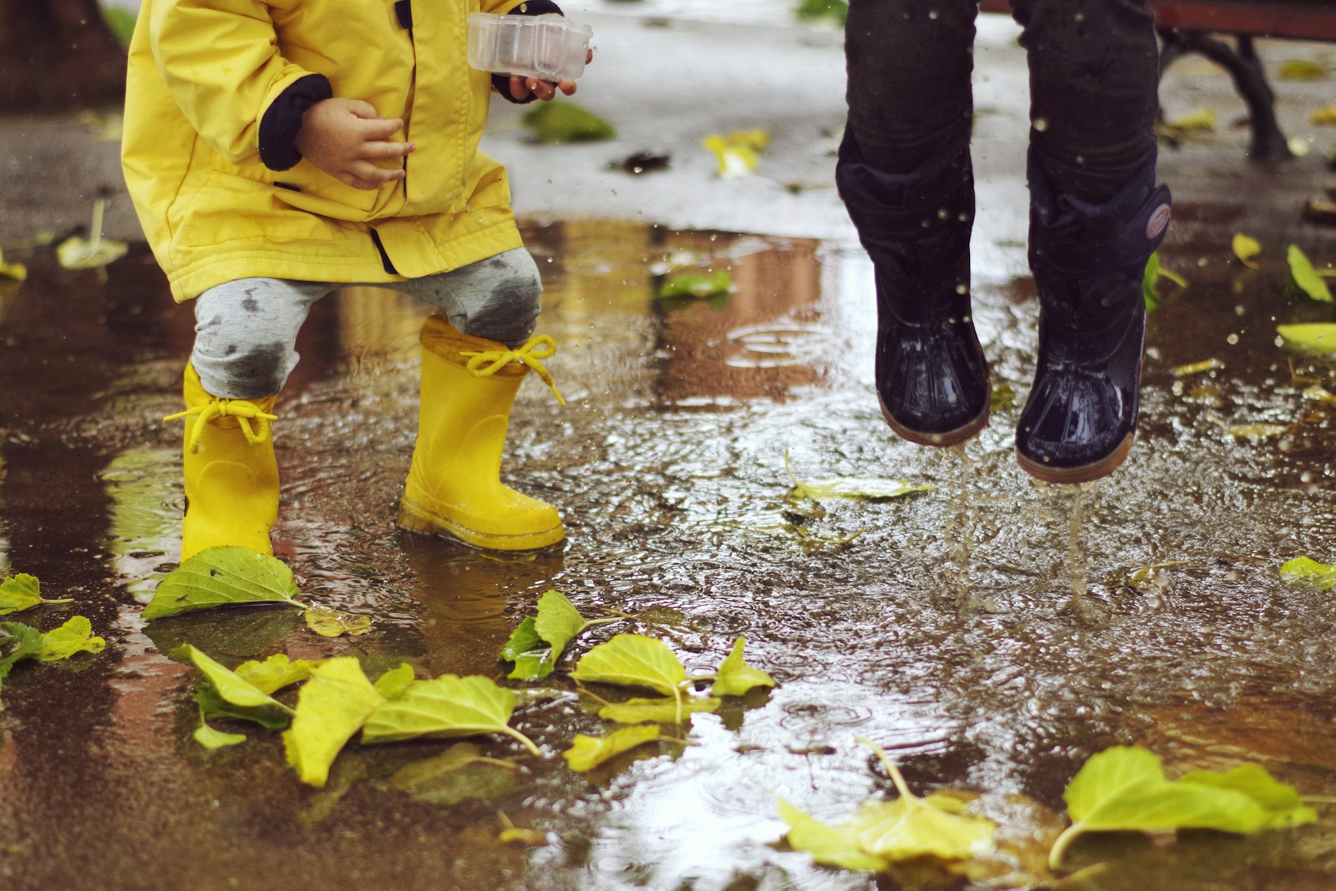 ¿Cómo filtrar el agua de lluvia y qué usos se le pueden dar en casa?