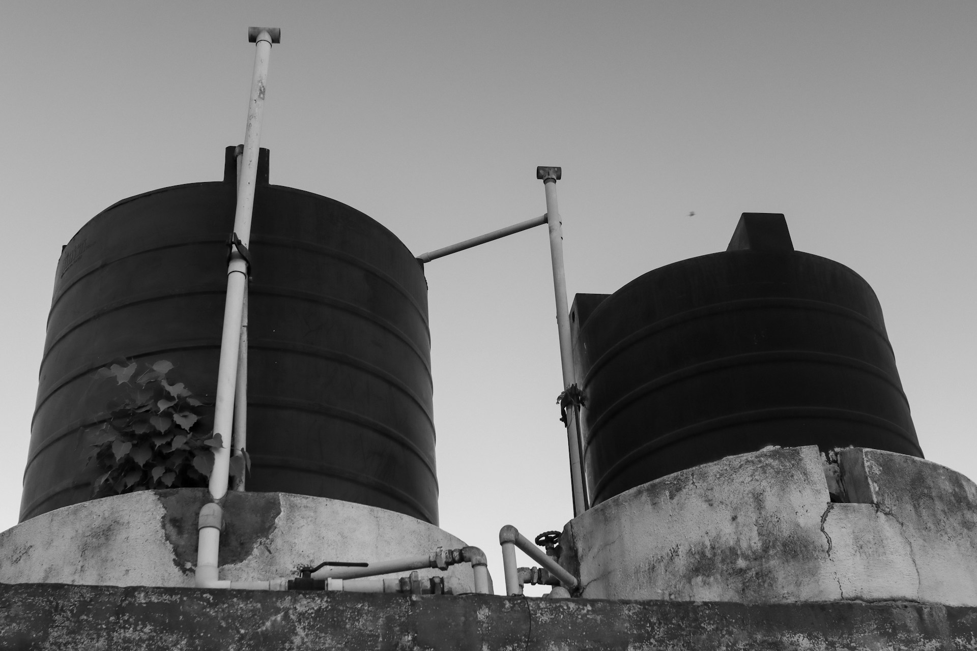 Cómo evitar que se caliente el agua del tinaco durante una ola de calor