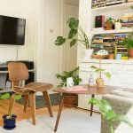 Plantas aromáticas