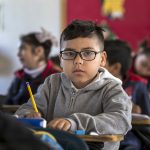 Educación ambiental en las escuelas