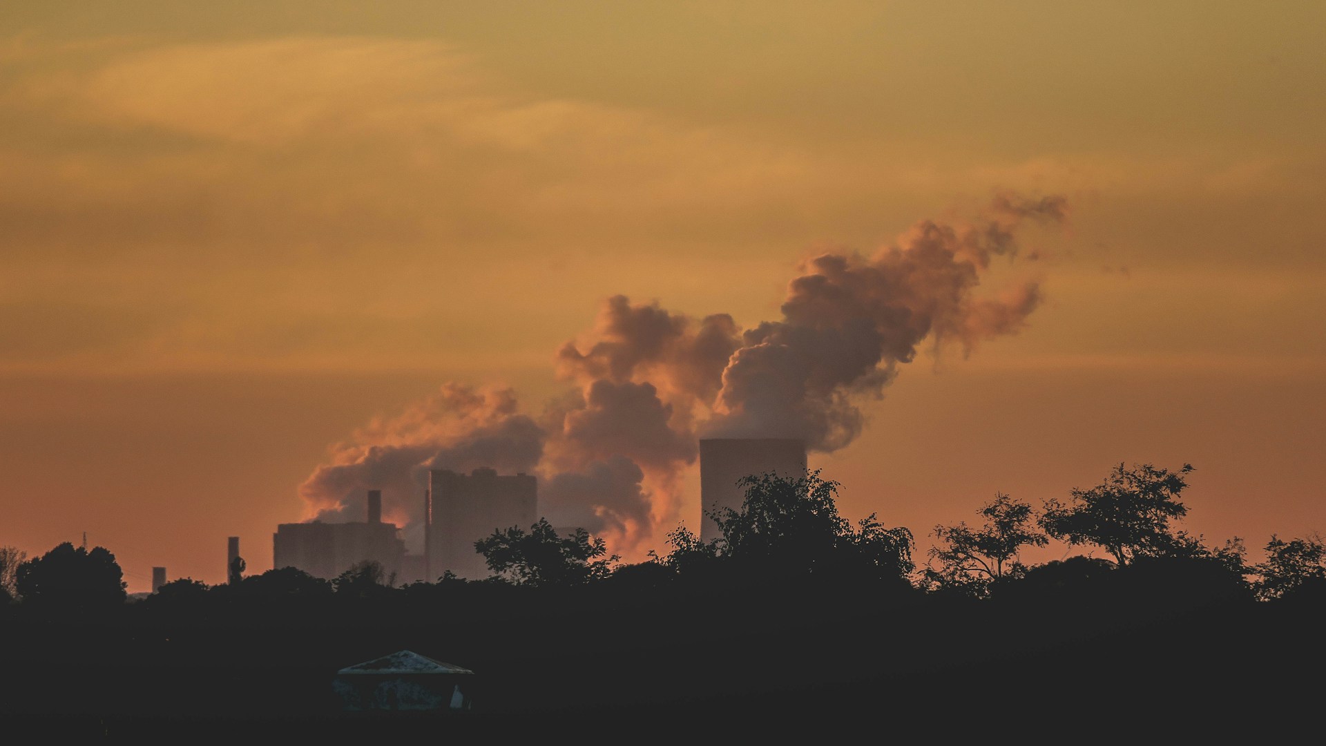 Día Internacional de la Calidad del Aire, ¿cómo cuidar del ambiente que respiramos?