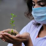 Plantar árboles