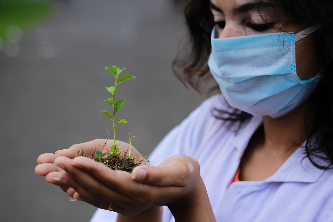 Regresa a clases con un árbol: La guía para cuidar del planeta sembrando espacios verdes