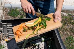 Desventajas del desperdicio de comida para el medio ambiente