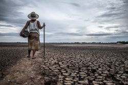 Sequía y estrés hídrico en México