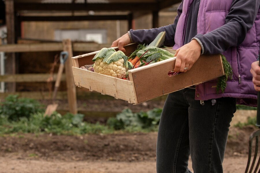 Huerto casero: Frutas y vegetales fáciles más sencillos de cultivar en casa