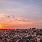 Por qué son preocupantes las islas de basura