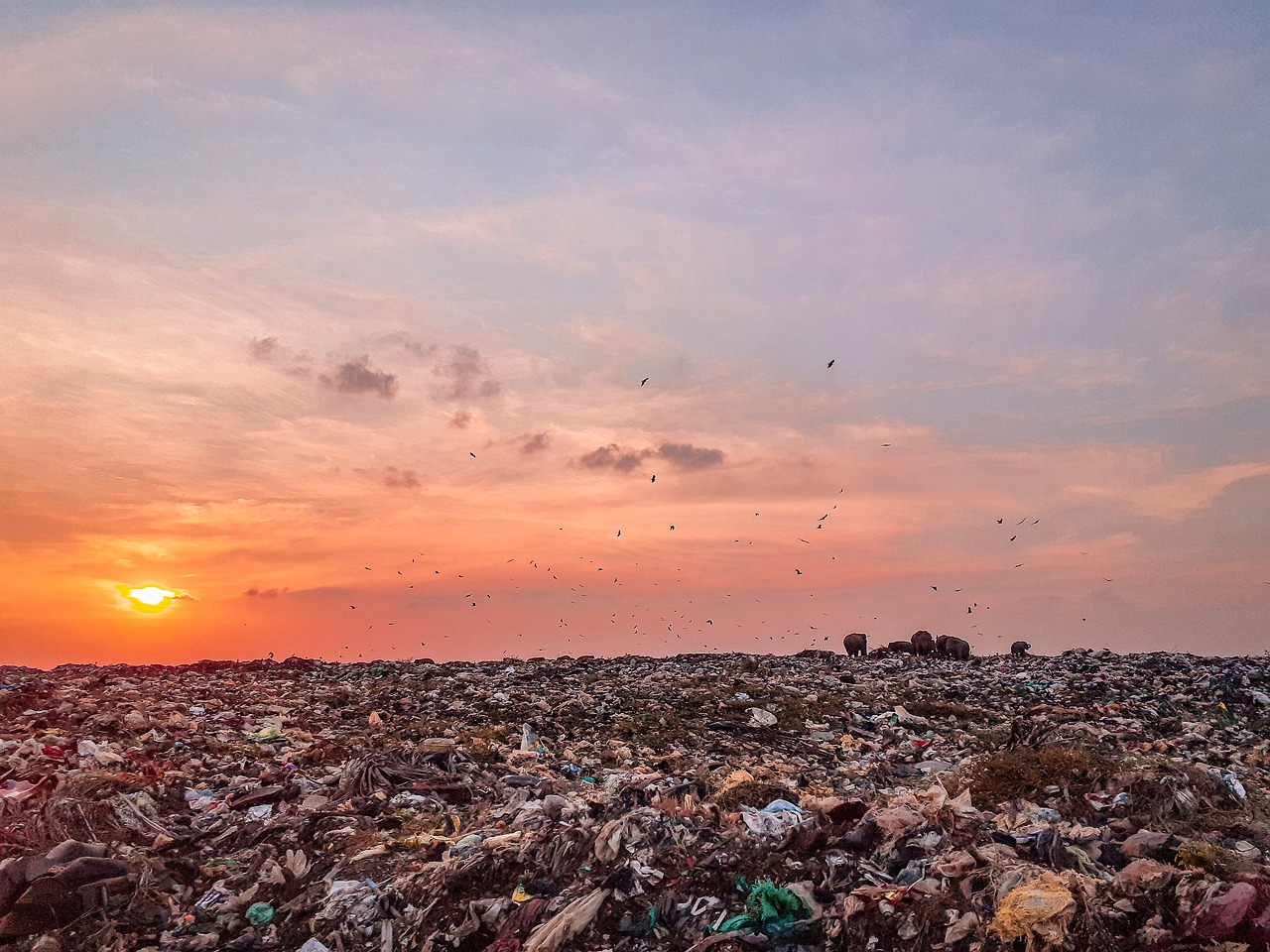 ¿Qué son las islas basura o de plástico y por qué deberían preocuparnos?