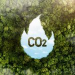 El impacto de la huella de carbono en el medio ambiente