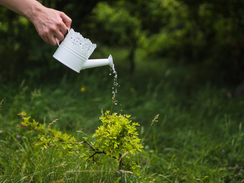 Cuál es el tipo de agua con el que debes regar las plantas para no dañarlas