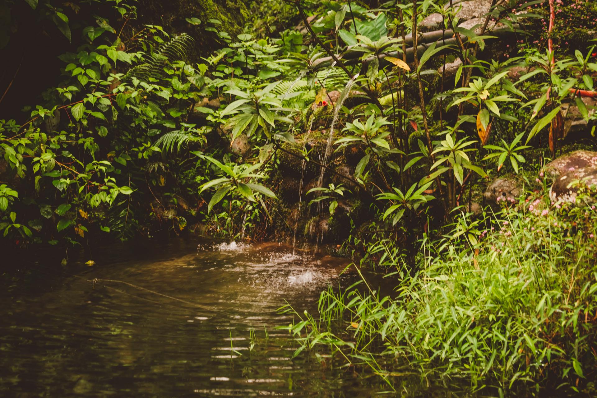 Agua subterránea: El recurso oculto y cómo su regeneración puede salvar nuestro futuro