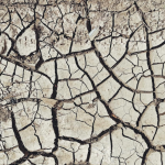 Cambio climático