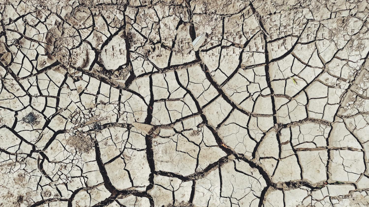 Día Mundial del Clima: El aumento de temperatura de México en las últimas décadas