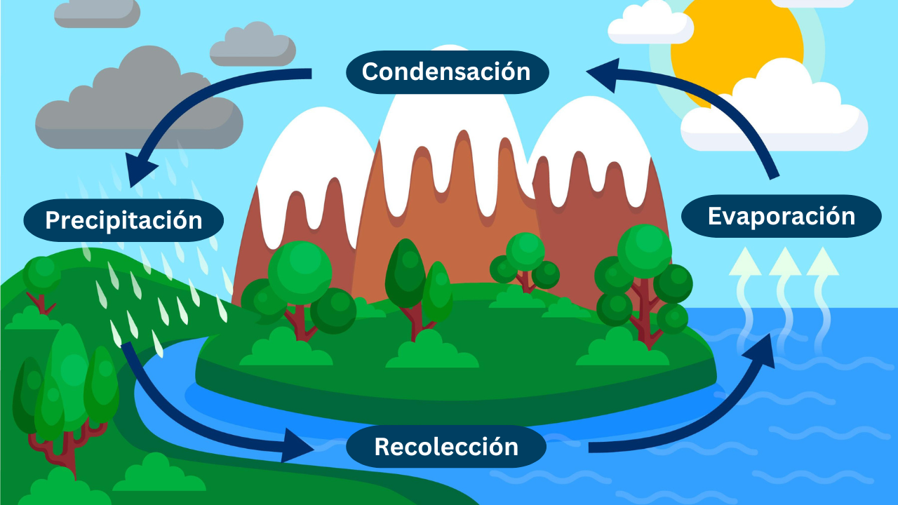 Ciclo del agua: por qué es cada vez es menos predecible y cómo afecta ...