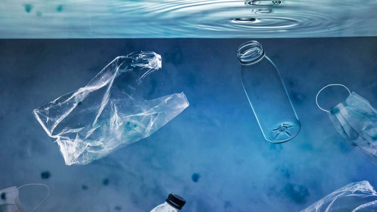 ¿Habrá más plástico que peces en el océano en 2050? Datos, soluciones y cómo evitar este desastre