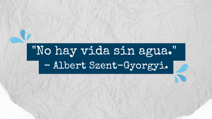 Frases relacionadas al agua Albert Szent Agencia Top of Mind