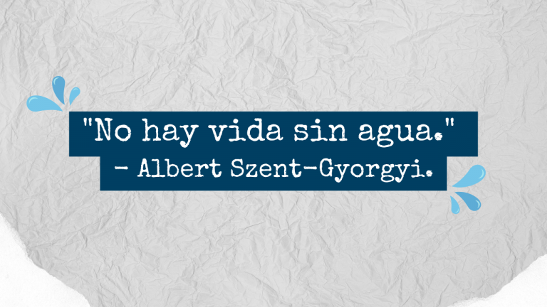 Día Mundial del Agua 2025: 7 frases inspiradoras para reflexionar sobre ...