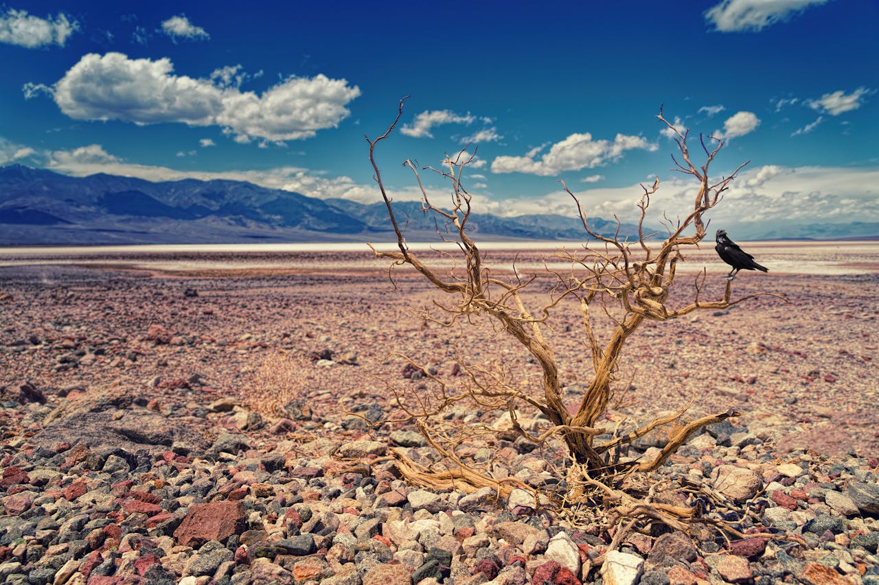 ¿Apocalipsis del agua? Esta es la fecha en la que México vivirá el Día Cero, según la ONU