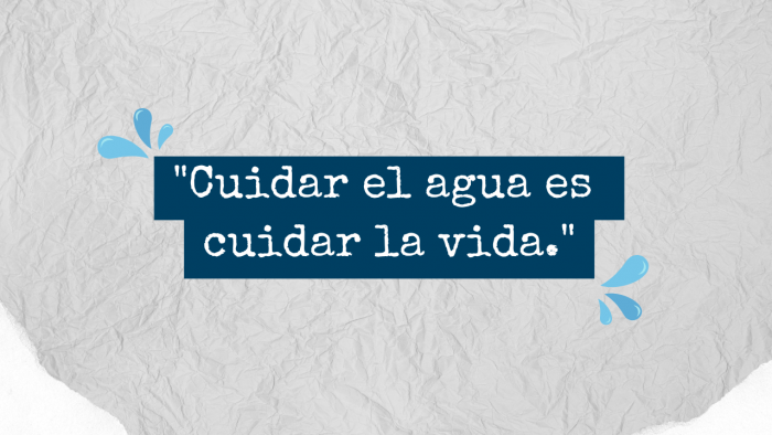 Cuidar el agua es cuidar la vidaFrases relacionadas al agua 