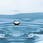 Día Mundial del Agua.