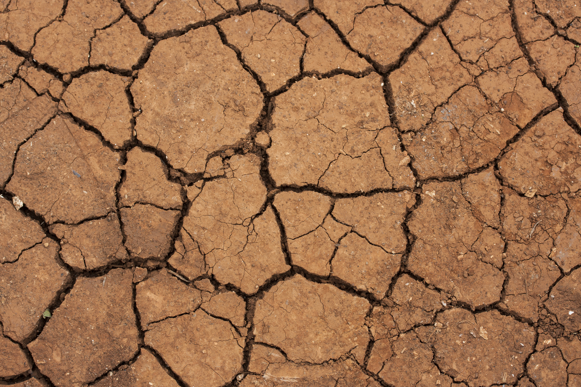 Recarga de acuíferos: La solución clave para la sostenibilidad del agua