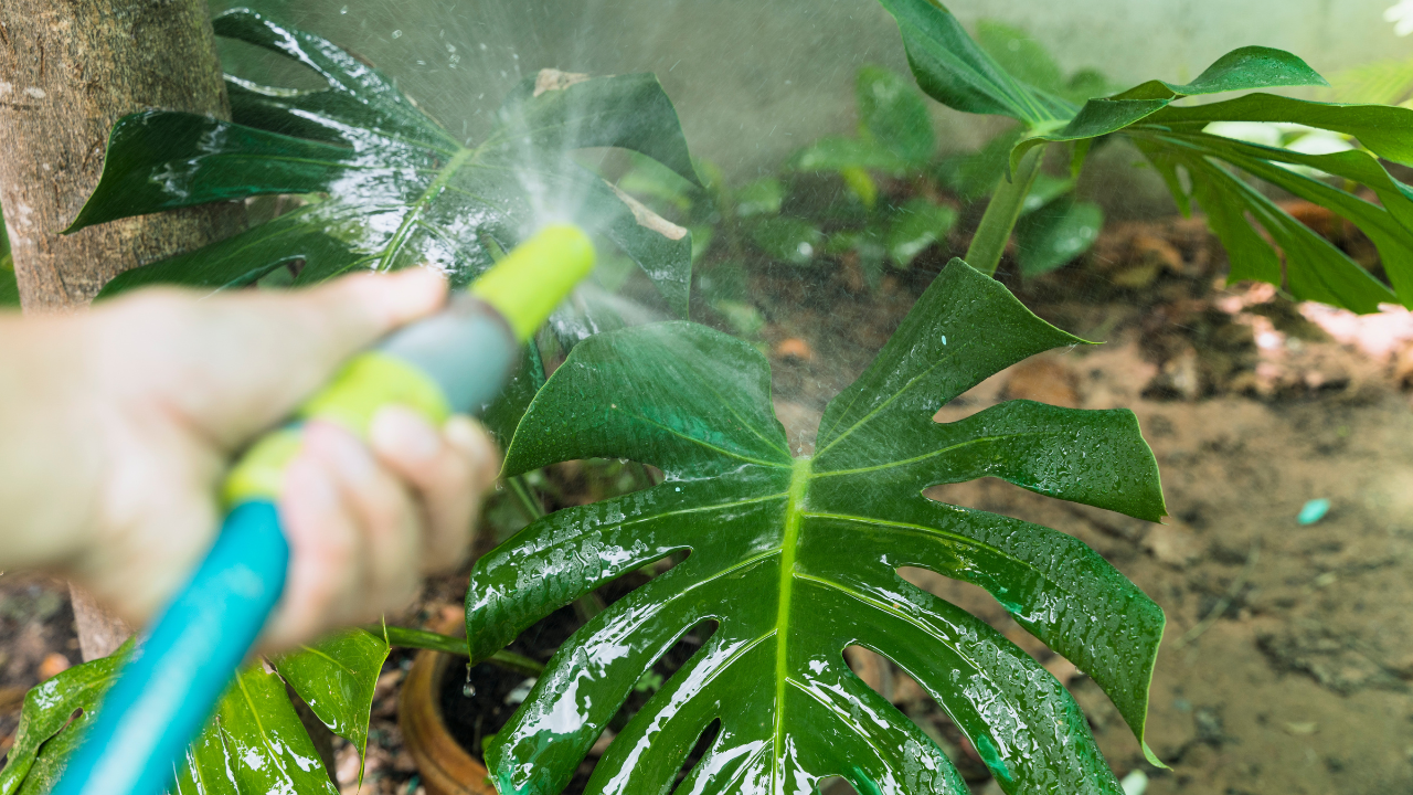 30 acciones cotidianas para cuidar el agua en casa y cuidar el planeta, ¿cuáles realizas?