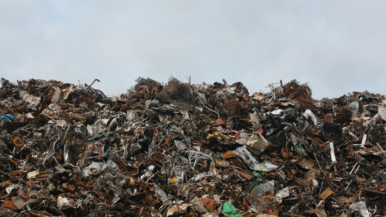 Estos son los estados de México que producen más basura, ¿vives en alguno?
