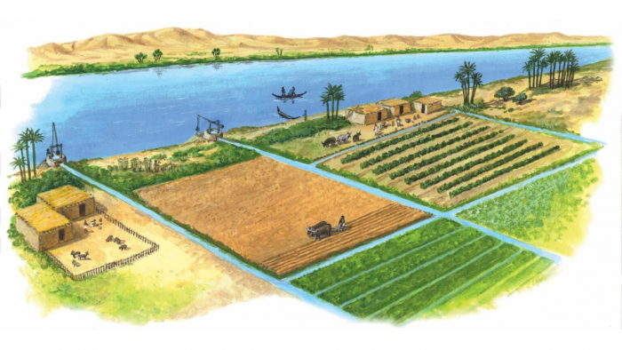 mesopotamia canales de riego redes de drenaje