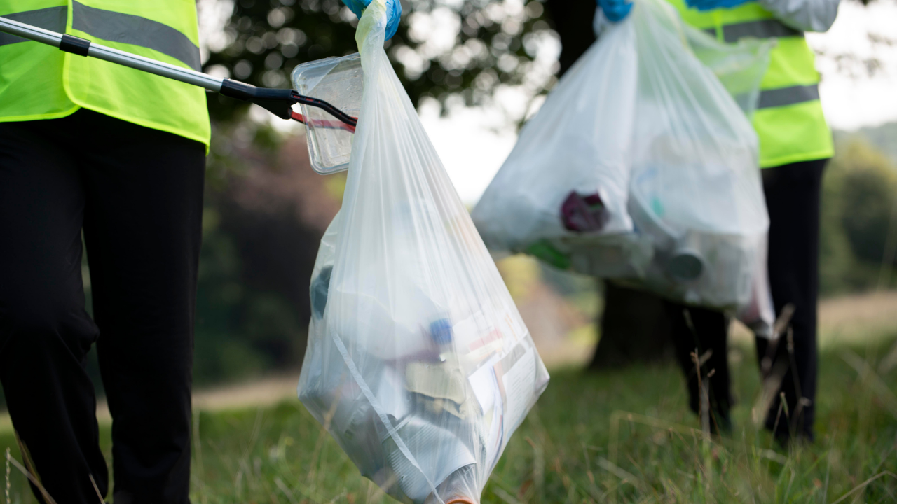 Consecuencias de tirar basura en la calle: las que ya sabes y otras que ni te imaginas
