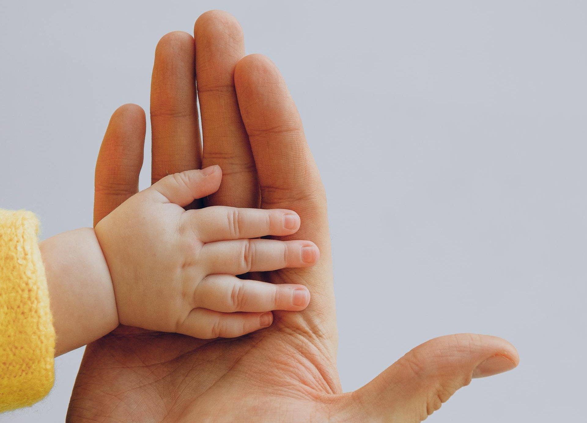 Día del Padre: 3 herramientas útiles para papá; le harán ahorrar tiempo, agua y esfuerzo