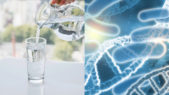 agua-bacterias