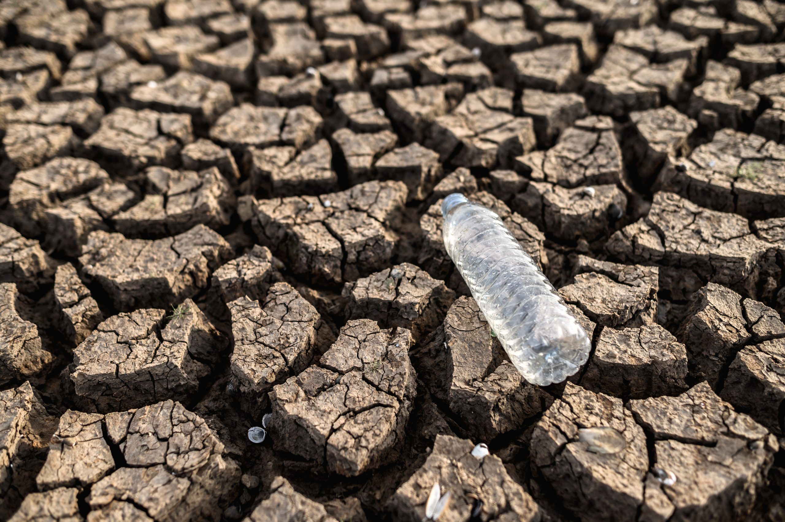 ¿Qué pasaría con el agua en México si llegamos al Día Cero? Esto dice la inteligencia artificial en 2025