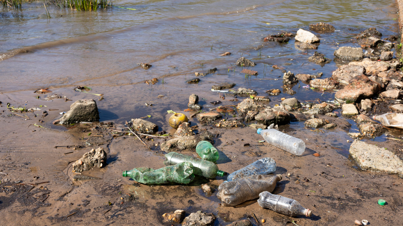 5 acciones fáciles para reducir la contaminación del agua en tu día a día