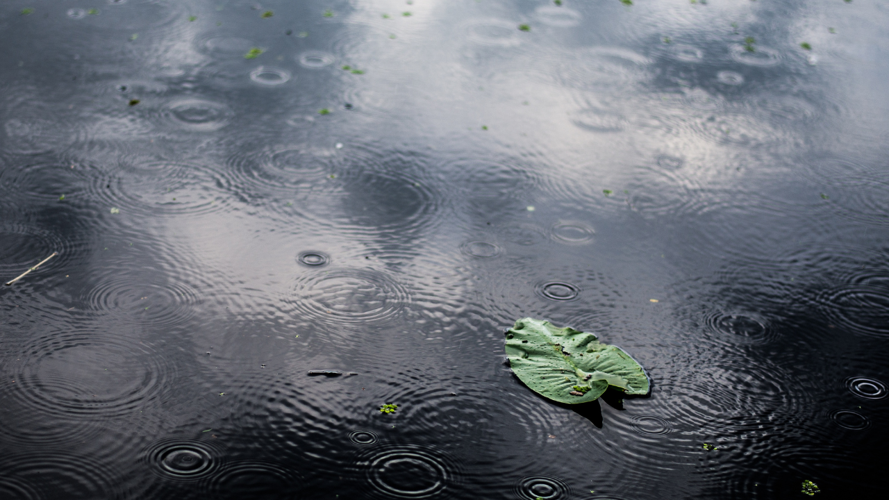 ¿Por qué está lloviendo tanto en México? Esto explicó el SMN sobre la temporada de lluvias.