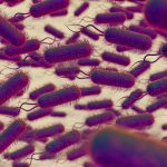 agua contaminada bacterias