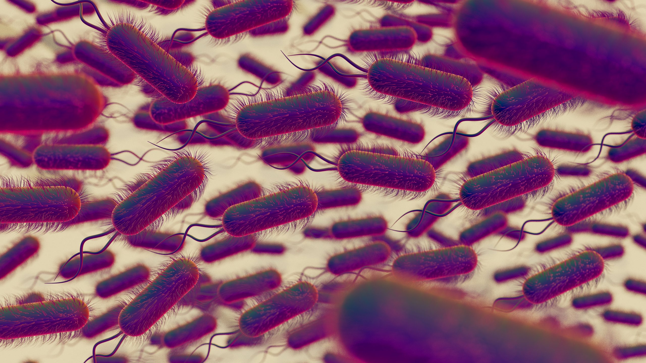 ¿Qué bacterias se eliminan al purificar el agua? Conoce los riesgos de no hacerlo