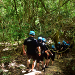 taller educación ambiental docentes