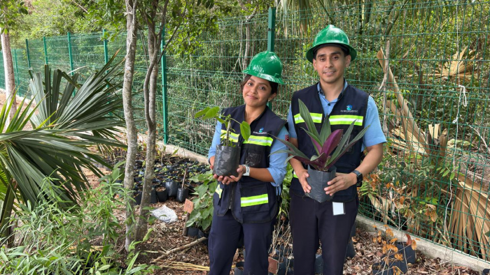 Además, como parte del compromiso con el medio ambiente, implementamos acciones de mitigación ambiental: rescate de flora y fauna silvestre, reforestación y uso de materiales sustentables en la obra. Todo en línea con las regulaciones de la Dirección General de Ecología de Benito Juárez. Inversión e impacto positivo en la comunidad.
