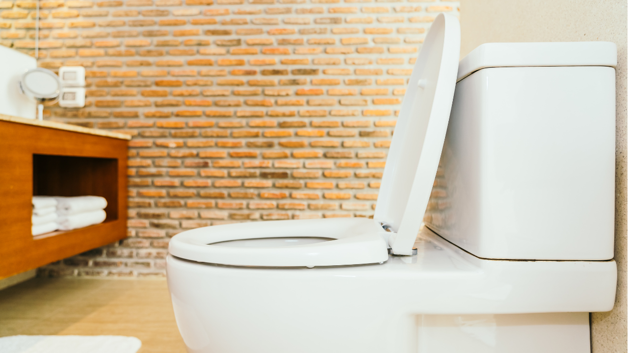 10 cosas que NUNCA debes tirar al inodoro; puedes poner en riesgo tu salud y el sistema de agua