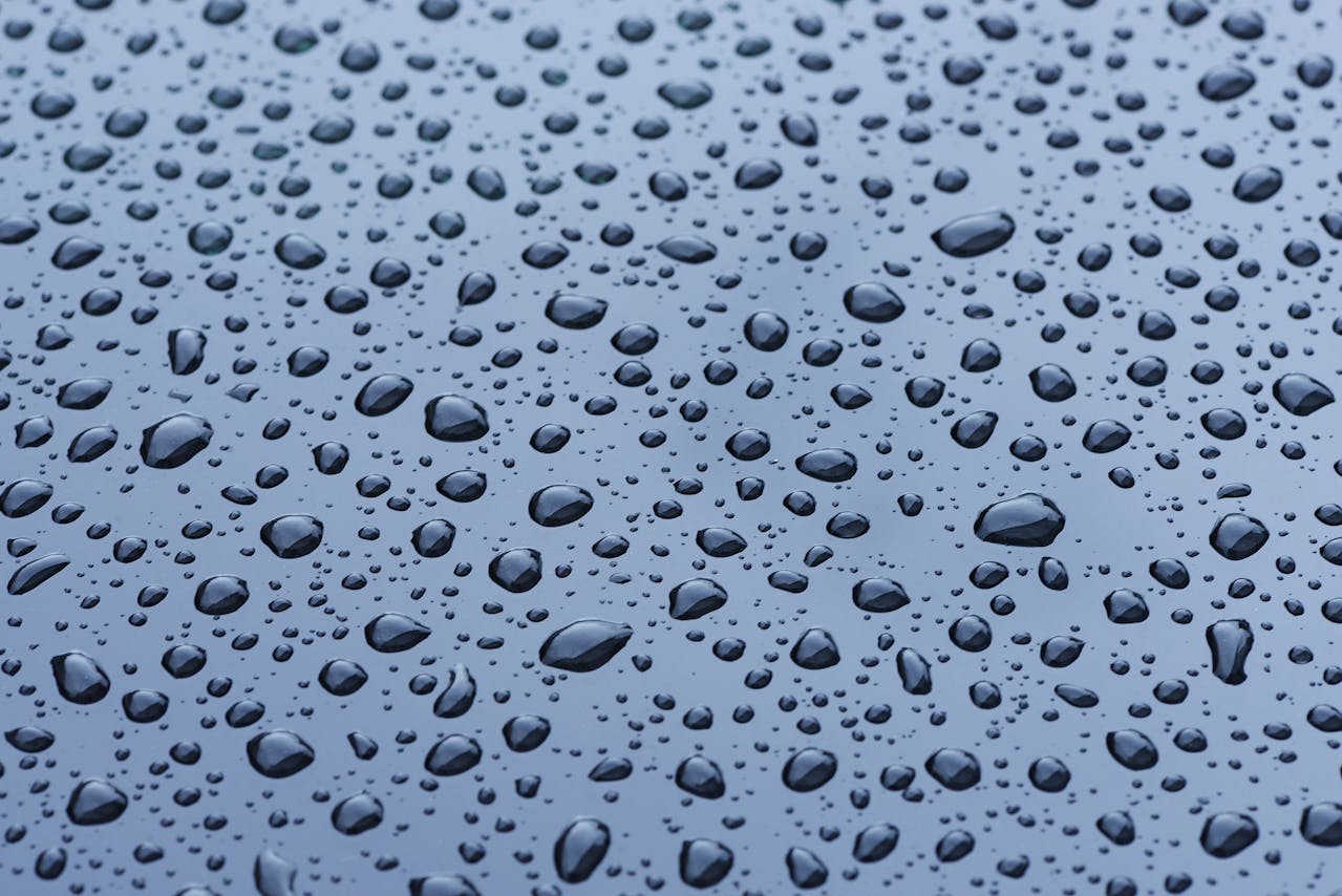 Recolectar agua de lluvia: beneficios, cómo hacerlo y por qué es una práctica sustentable
